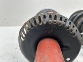 Front shock absorber with coil spring