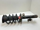 Front shock absorber with coil spring
