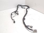 Other wiring loom