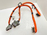Faisceau de câblage pour moteur