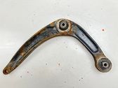 Front lower control arm/wishbone