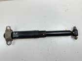 Rear shock absorber/damper