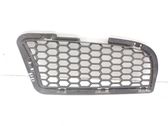Front grill