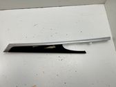 Other rear door trim element