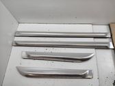 Front door trim (molding)
