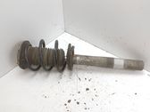 Front shock absorber with coil spring