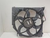 Electric radiator cooling fan