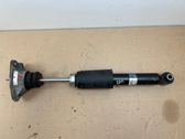 Rear shock absorber/damper