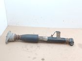 Rear shock absorber/damper