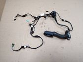 Cableado de puerta trasera