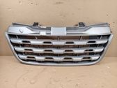 Front grill