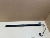 Tailgate/trunk strut/damper
