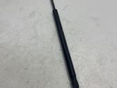Tailgate/trunk strut/damper