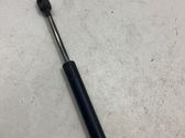 Tailgate/trunk strut/damper