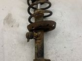 Front shock absorber with coil spring