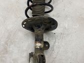 Front shock absorber with coil spring