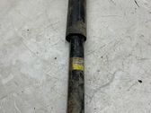 Rear shock absorber/damper