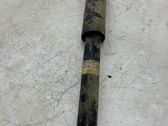 Rear shock absorber/damper