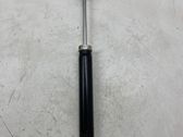 Rear shock absorber/damper