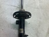 Front shock absorber/damper