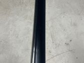 Rear door trim (molding)