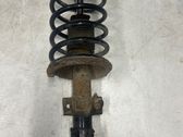 Amortiguador delantero con muelle espiral