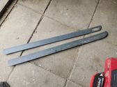 Listón embellecedor de la puerta delantera (moldura)