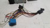 Sound system wiring loom