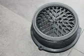 Rear door speaker