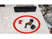 Sound system wiring loom