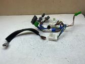Sound system wiring loom