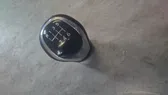 Gear shift switch/knob