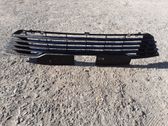 Front bumper lower grill