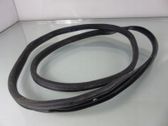 Rear door rubber seal (on body)