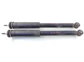 Rear shock absorber/damper