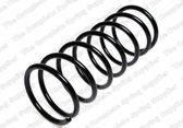 Rear coil spring