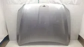 Engine bonnet/hood