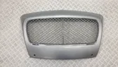 Front bumper upper radiator grill