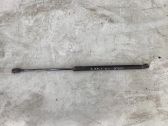 Tailgate/trunk strut/damper
