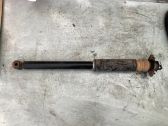 Stoßdämpfer hinten