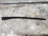 Windshield trim