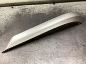 Rear bumper trim bar molding