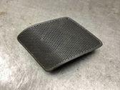 Front door high frequency speaker