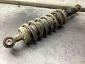 Rear shock absorber with coil spring