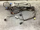 Front door wiring loom