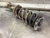 Front shock absorber with coil spring