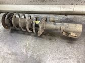 Front shock absorber with coil spring