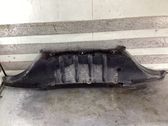 Front bumper skid plate/under tray