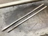 Front door trim (molding)