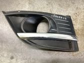 Front fog light trim/grill